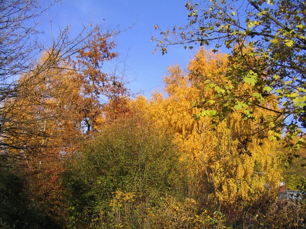 Herbstimpressionen_26.jpg