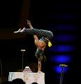 T-20141122-193244_P1840538-Ga