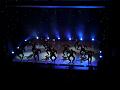 T-20141222-204538_P1930216-G