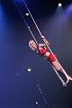 T040_T-20141231-182216_IMG_3316-7
