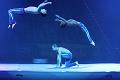T050_T-20141231-183200_IMG_3585-7a