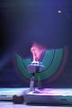 T050_T-20150103-193106_IMG_0361-7a