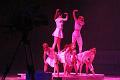 T055_T-20150103-193416_IMG_0492-7