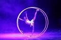T070_T-20150103-144214_IMG_7736-7