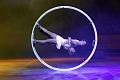T070_T-20150103-144226_IMG_7756-7