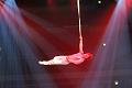 T090_T-20150103-145102_IMG_8017-7