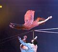 T100_T-20141231-190126_IMG_4560-7aa
