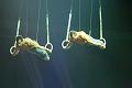 T120_T-20150103-154422_IMG_8604-7a