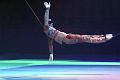 T140_T-20141231-195356_IMG_5444-7a