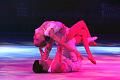 T150_T-20150103-160104_IMG_9006-7a