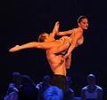T190_T-20141231-202048_IMG_6217-7a