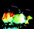 T-20150117-214433_IMG_5776-6a