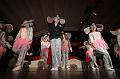 T-20150131-215123_IMG_0339-6