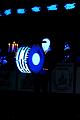 1-IMG_2382a