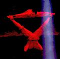 T-20150220-212154_IMG_4290-7a-