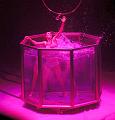 T-20150220-212602_IMG_4398-7a-