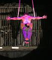 T-20150220-214258_IMG_4990-7-a