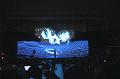T-20150315-180849_IMG_6228-6-
