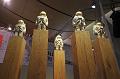 T-20150318-120618_IMG_6870-6