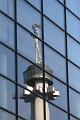 T-20150318-151612_IMG_4045-7