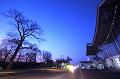 T-20150319-190743_IMG_7629-6