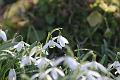 T-20150308-142742_IMG_9079-7