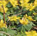 T-20150308-142954_IMG_9098-7a