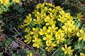 T-20150308-143050_IMG_9104-7