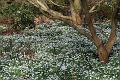 T-20150308-143342_IMG_9200-7