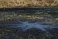 T-20150308-143938_IMG_9224-7