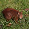 T-20150308-150240_IMG_9396-7a