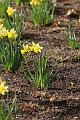T-20150403-161648_IMG_6791