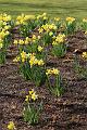 T-20150403-161650_IMG_6793