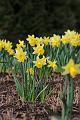 T-20150403-162012_IMG_6829