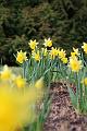T-20150403-162018_IMG_6834