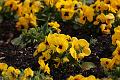 T-20150403-162228_IMG_6835