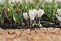 T-20150403-170048_IMG_6986