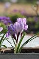 T-20150403-170218_IMG_6990