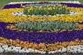 T-20150403-171556_IMG_7015