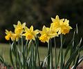 T-20150408-124824_IMG_6813a