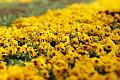 T-20150408-124922_IMG_6847a