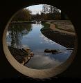 T-20150408-125034_IMG_6907a