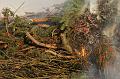 F_T-20150404-191352_IMG_7110-7