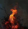F_T-20150404-195427_IMG_7311-7a