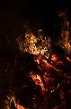 F_T-20150404-210801_IMG_8419-7a