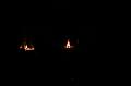 T-20150405-212018_IMG_0155-7