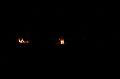 T-20150405-213254_IMG_0300-7