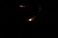 T-20150405-214218_IMG_0430-7