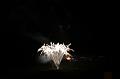T-20150405-215045_IMG_0553-7