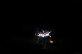 T-20150405-215334_IMG_0586-7
